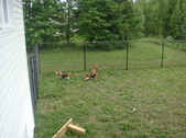 Enlarge photo 6