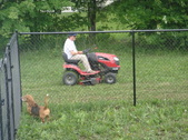 Enlarge photo 7