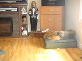 Enlarge photo 12