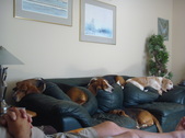 Enlarge photo 10