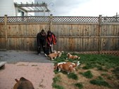 Enlarge photo 5
