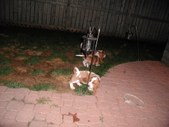Enlarge photo 8