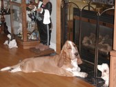 Enlarge photo 12