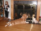 Enlarge photo 14