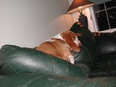 Enlarge photo 16