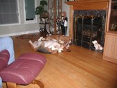 Enlarge photo 18