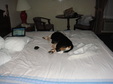 Enlarge photo 11