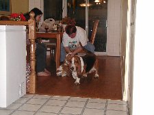 Enlarge photo 11