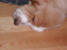 Enlarge photo 25
