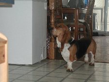 Enlarge photo 29