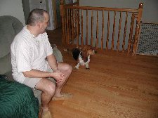 Enlarge photo 39