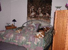 Enlarge photo 49