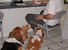 Enlarge photo 59