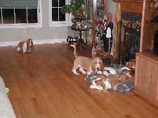 Enlarge photo 123