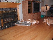 Enlarge photo 132