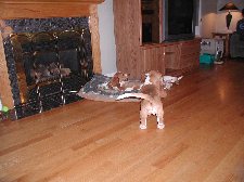 Enlarge photo 133