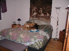 Enlarge photo 139