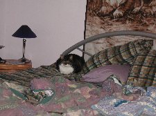 Enlarge photo 163