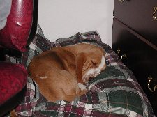Enlarge photo 166