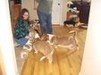 Enlarge photo 2