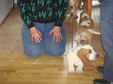 Enlarge photo 6