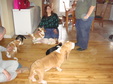 Enlarge photo 11