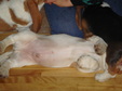 Enlarge photo 12