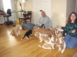 Enlarge photo 14