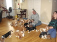 Enlarge photo 15