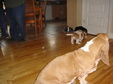 Enlarge photo 18