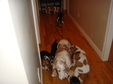 Enlarge photo 25