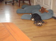Enlarge photo 26