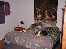 Enlarge photo 41