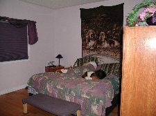 Enlarge photo 44