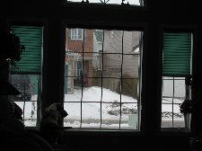 Enlarge photo 58
