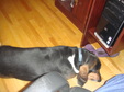 Enlarge photo 8