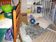 Enlarge photo 15