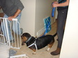Enlarge photo 16