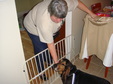 Enlarge photo 17