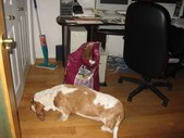 Enlarge photo 10