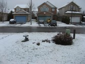 Enlarge photo 48