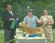 Enlarge photo 28