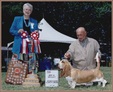 Enlarge photo 31