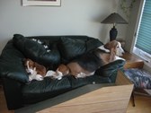 Enlarge photo 16