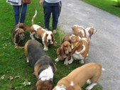 SPCA Wiggle Waggle 2006