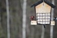 Enlarge photo 2