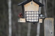 Enlarge photo 3