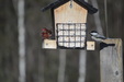 Enlarge photo 5