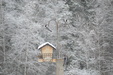 Enlarge photo 13