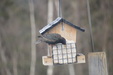 Enlarge photo 20